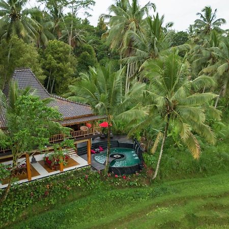 Masakali Retreat Hotel Ubud  Ngoại thất bức ảnh