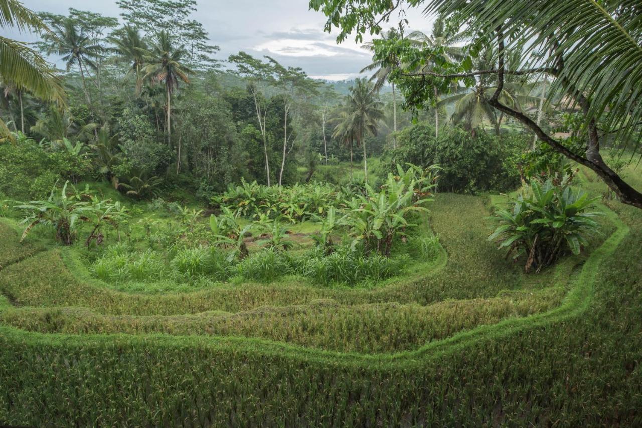 Masakali Retreat Hotel Ubud  Ngoại thất bức ảnh